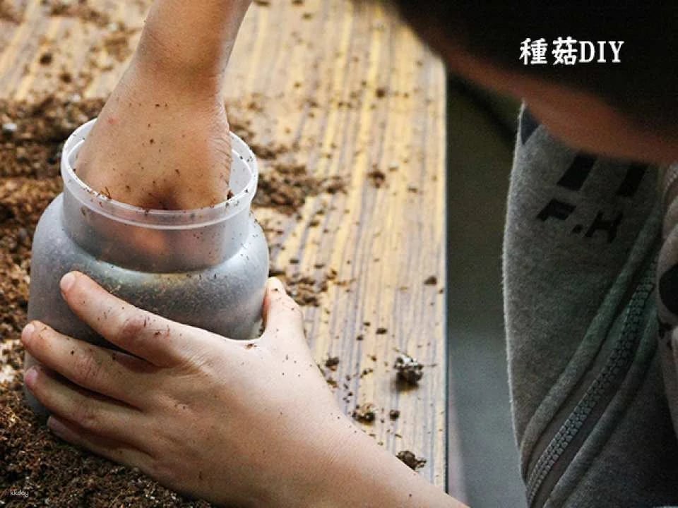 Changhua Magic Mushroom Tribe Leisure Farm Package