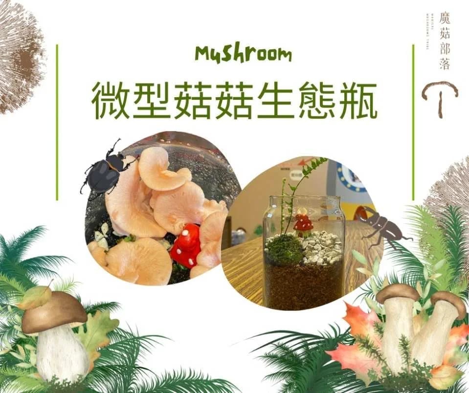 Changhua Magic Mushroom Tribe Leisure Farm Package