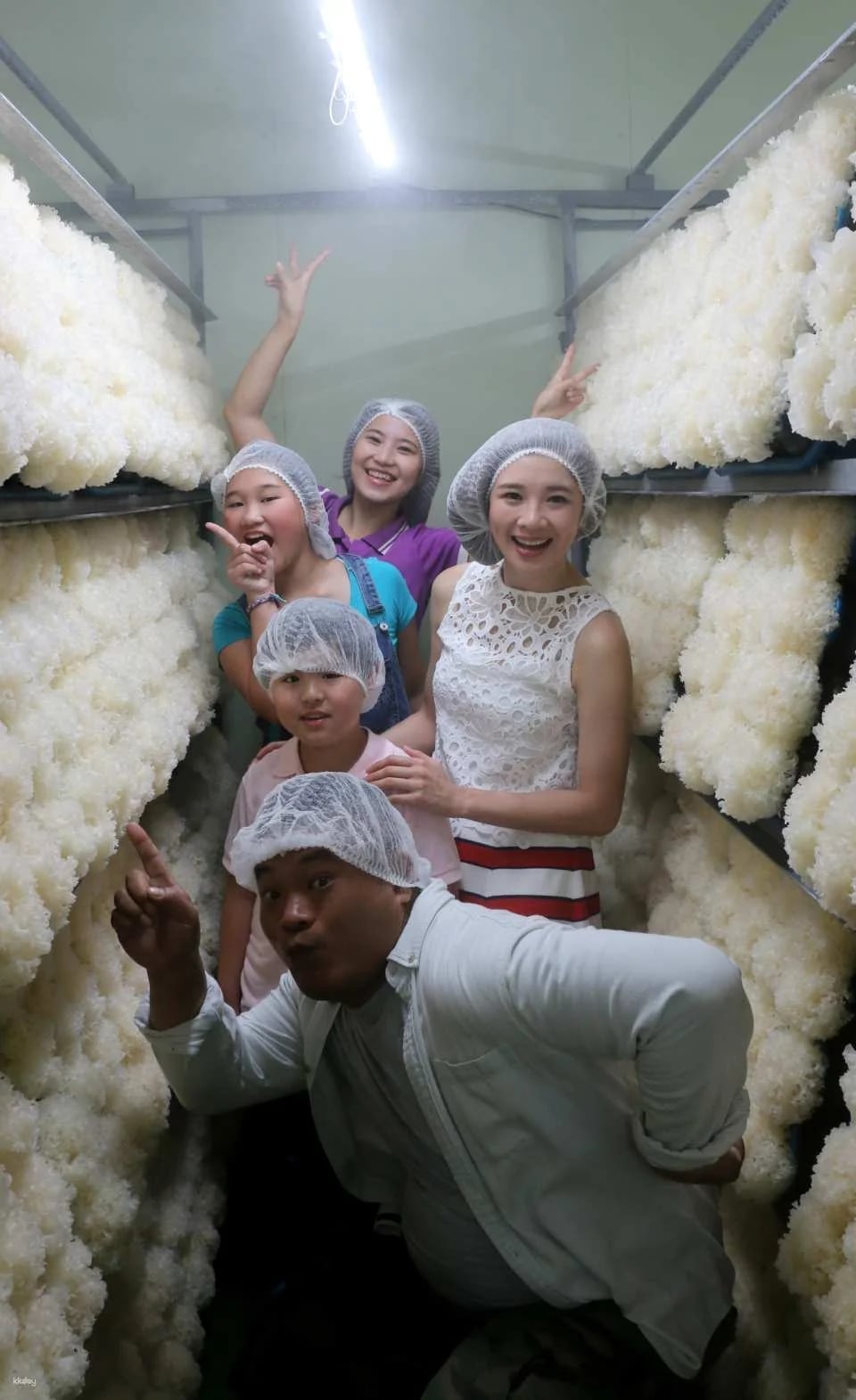 Changhua Magic Mushroom Tribe Leisure Farm Package