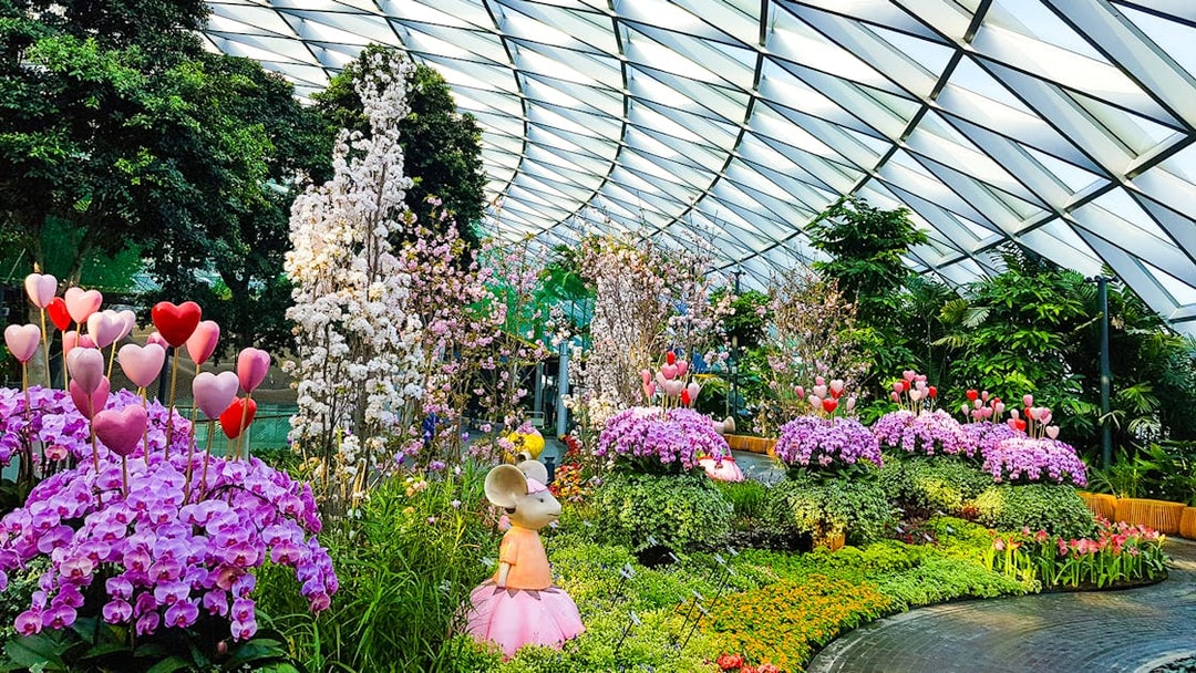 Petal Garden at Canopy Park, Jewel Changi, featuring vibrant flowers and whimsical sculptures.
