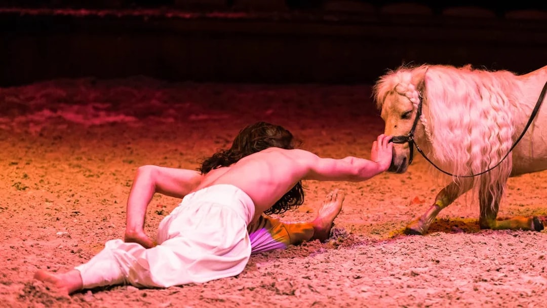 Performer with a pony during a show at Chateau of Chantilly.