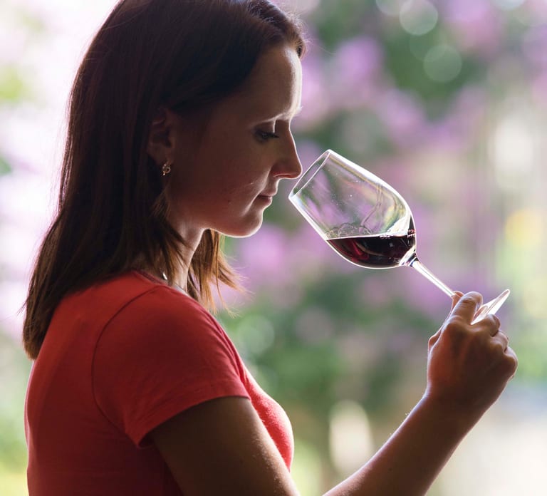 Château Olivier: One Hour Vineyard Tour with Wine Tasting
