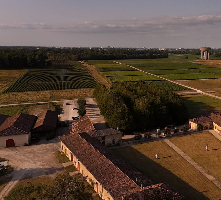 Château Olivier: One Hour Vineyard Tour with Wine Tasting