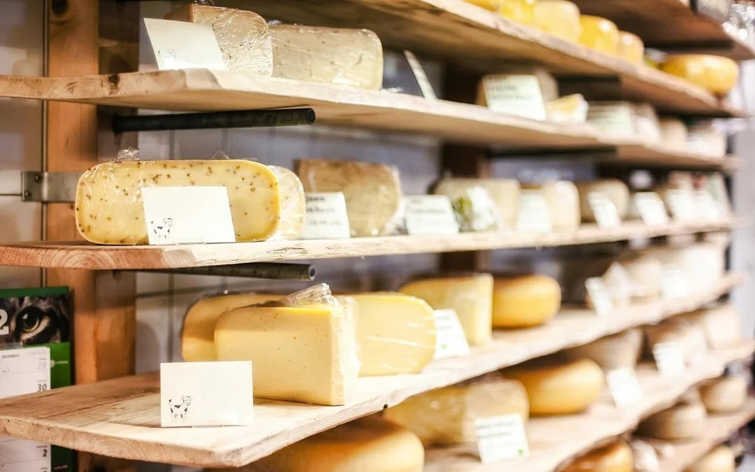 Cheesemaking Workshop with Tastings Image 9