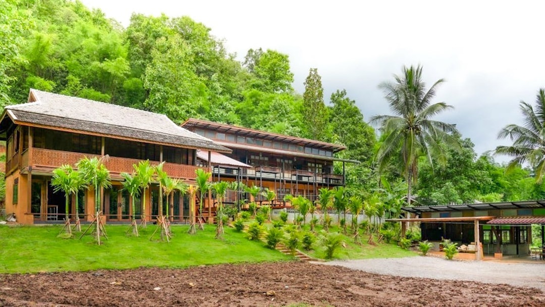 Homestay buildings surrounded by lush greenery at Elephant Jungle Sanctuary, Chiang Mai.