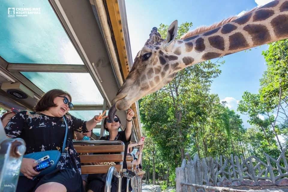 Chiang Mai Night Safari Ticket | Thailand