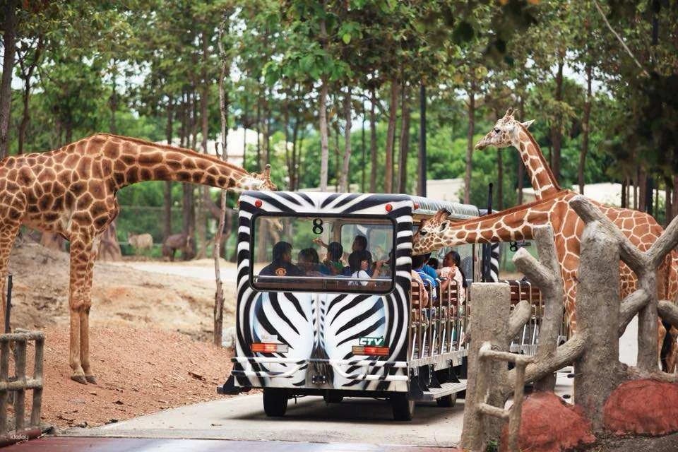 Chiang Mai Night Safari Ticket | Thailand