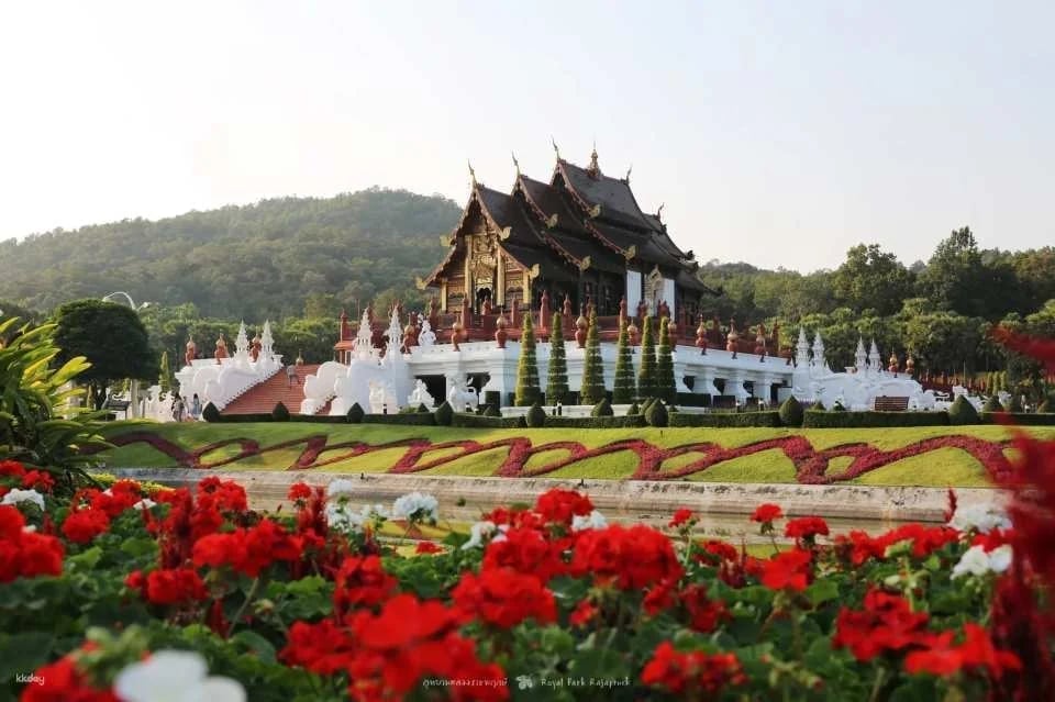 Chiang Mai Pass | Redeem up to 8 out of 40+ benefits
