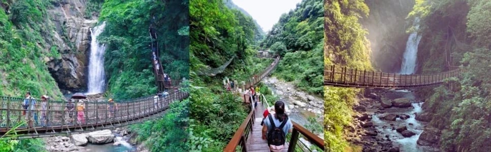 Chiayi Alishan FunPASS｜Alishan x Sun Moon Lake Travel Package