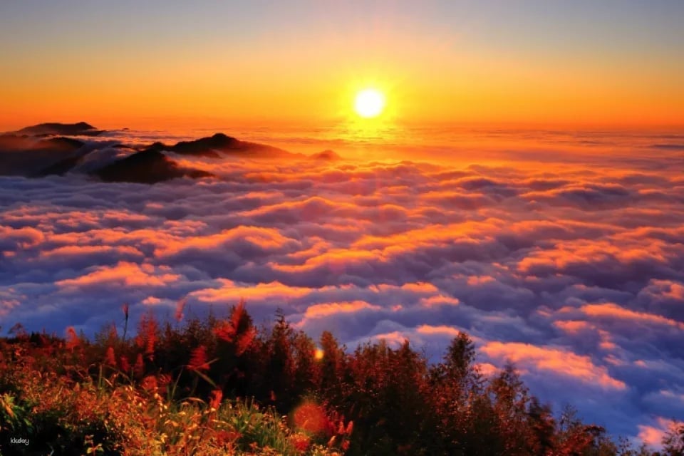 Chiayi Alishan National Forest Recreation Area Tickets & Packages