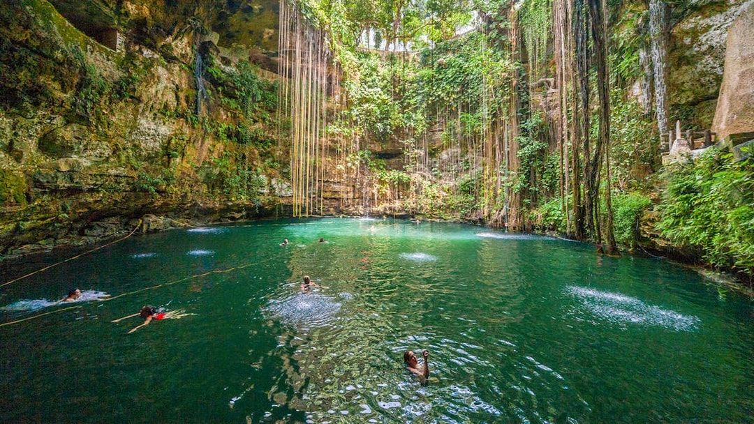 Tourists swimming in a lush Cenote pool surrounded by vines and rock walls in Mexico.