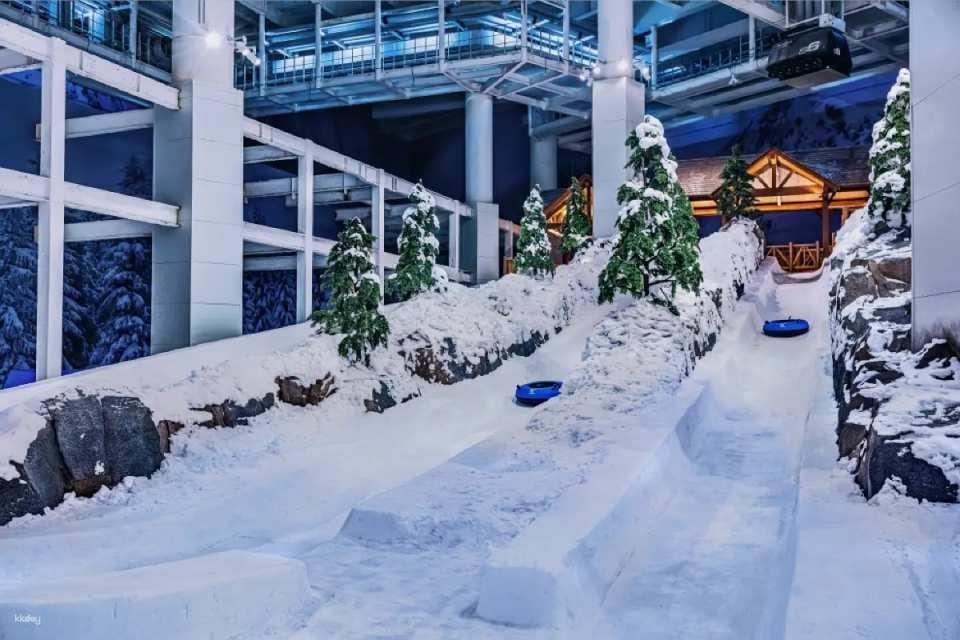 【China】Shanghai Yaoxue Ice and Snow World Tickets｜Snow Entertainment Tickets/Ski Tickets