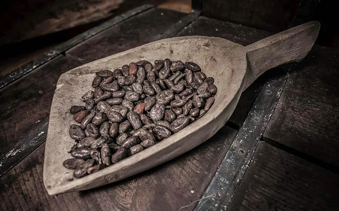 Choco-Story Brussels Museum Tickets with Tasting & Chocolate-Making Workshop
 Image 11