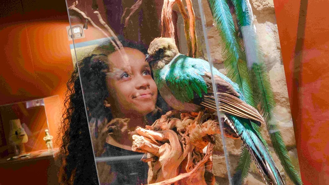 Girl observing colorful bird artifact at Choco-Story Paris museum.