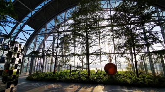 Chongqing Exploration Deck · Viewing Gallery