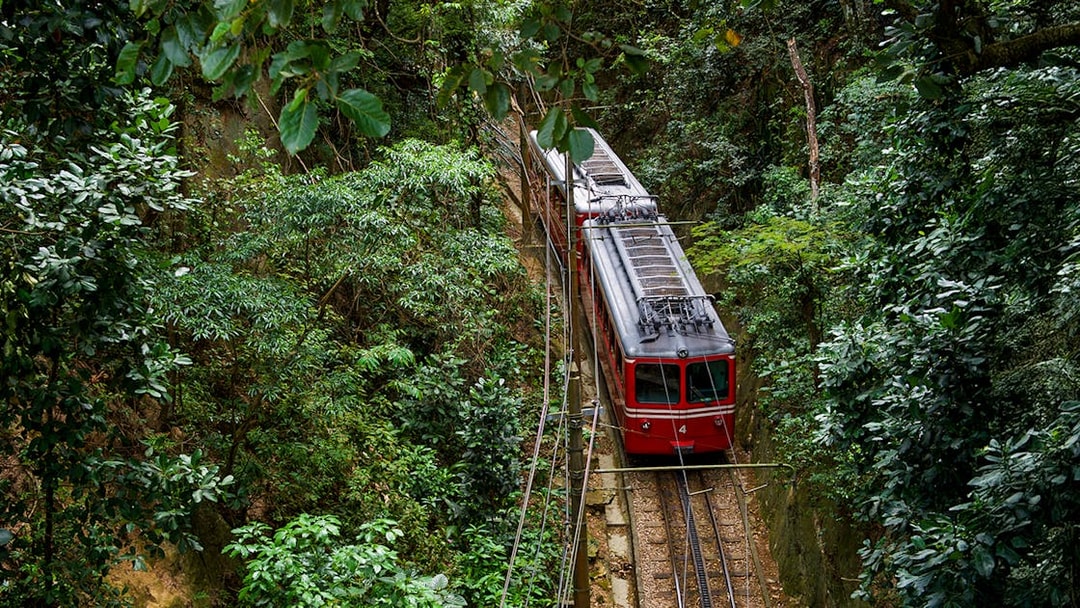 Train traveling through Tijuca Rainforest, Brazil, surrounded by lush greenery.