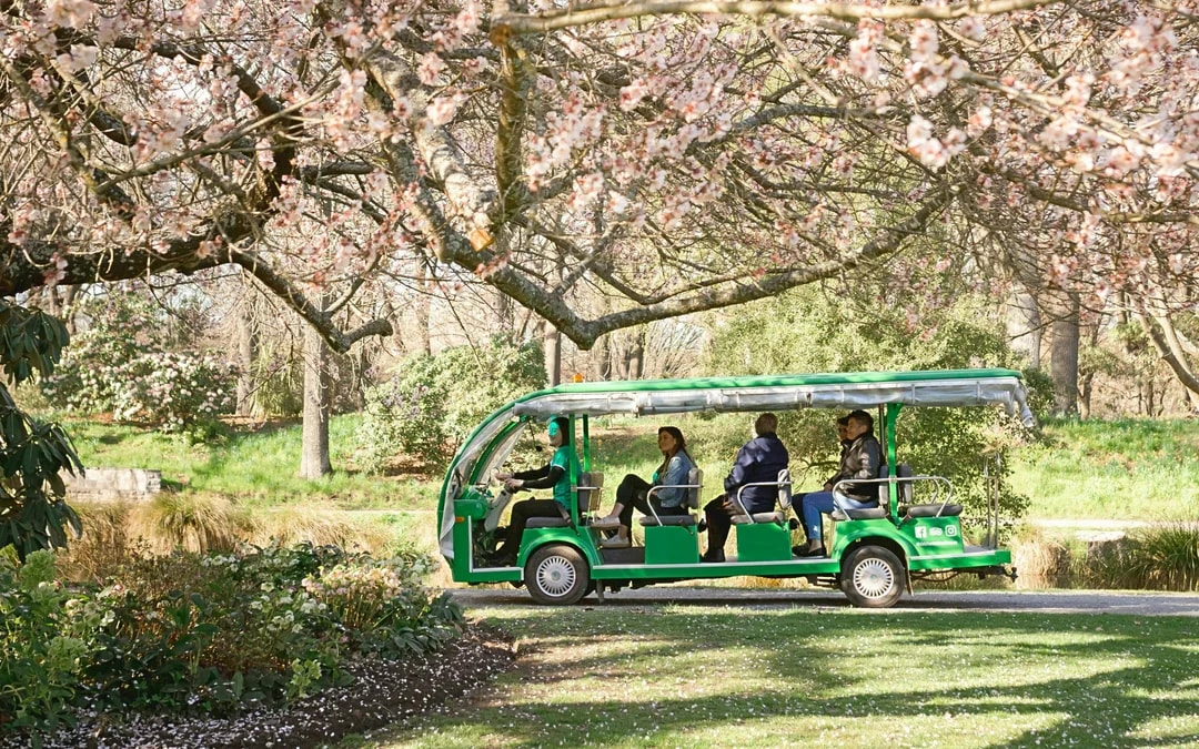 Christchurch: Botanic Gardens Guided Shuttle Tour Image 8