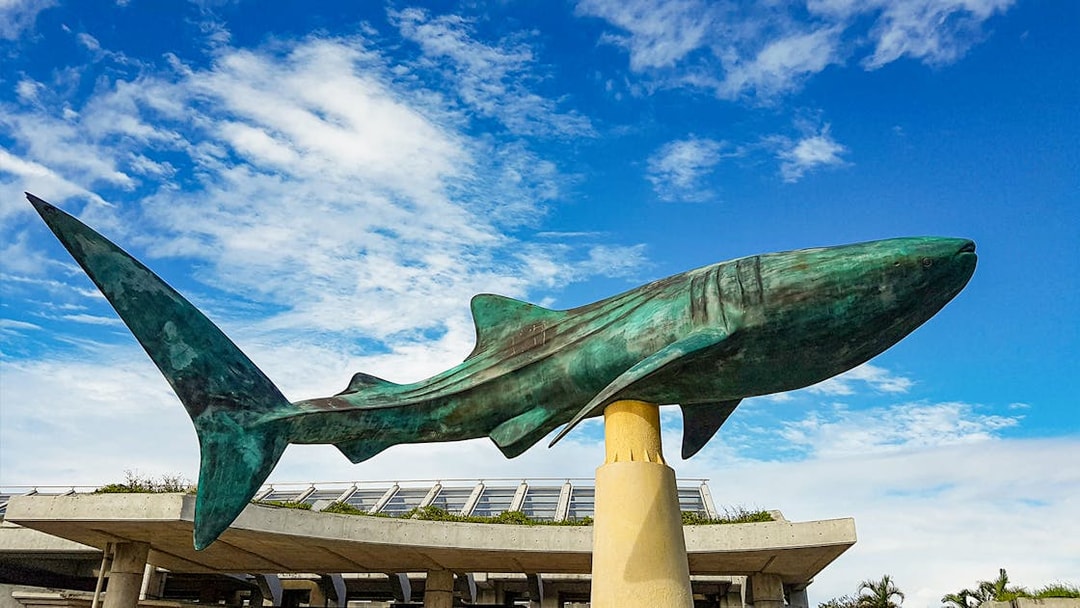 Whale shark statue at Churaumi Aquarium entrance, Okinawa.