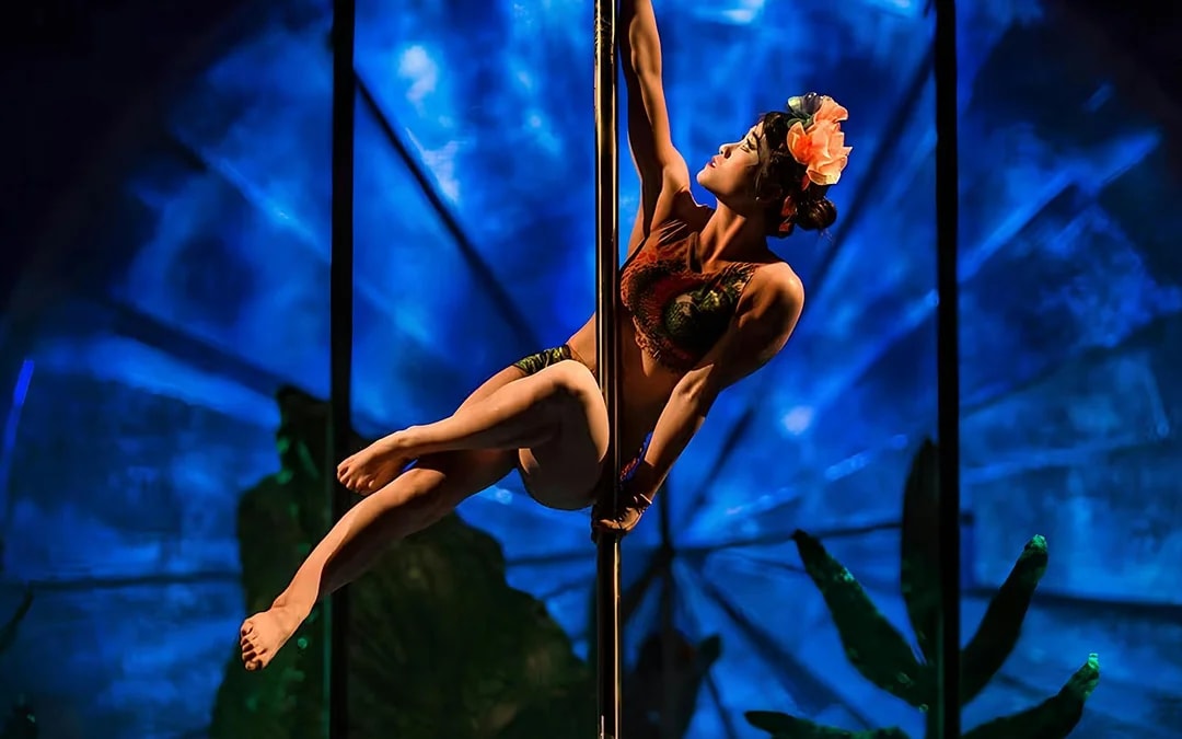 Cirque du Soleil LUZIA: Toronto Image 6