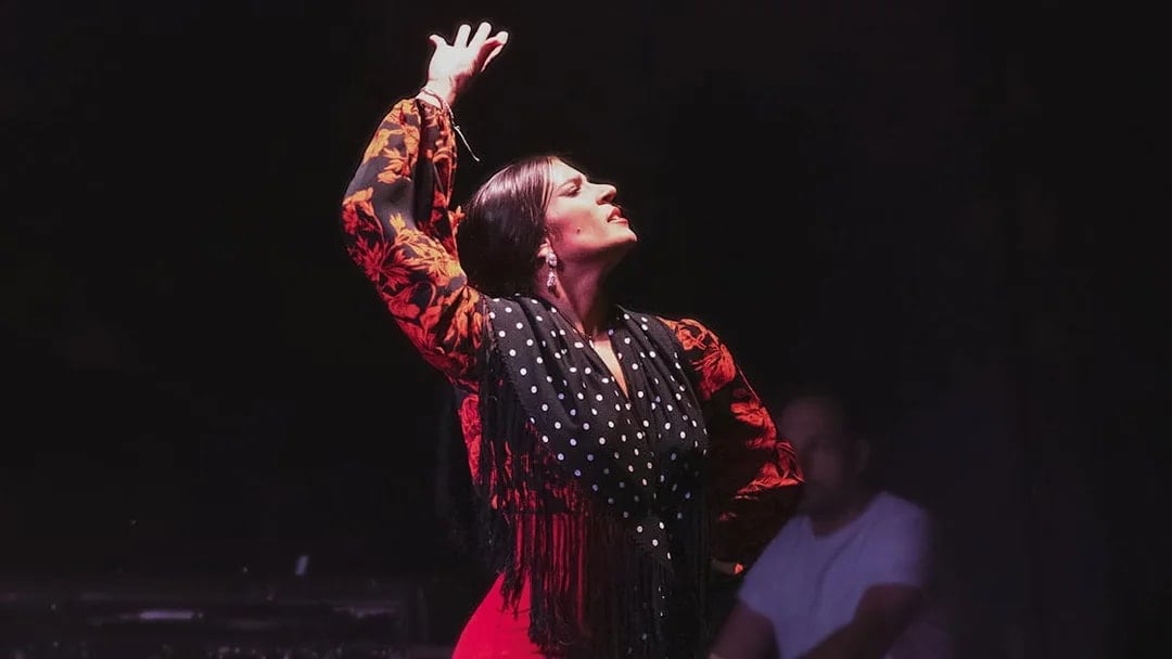 Flamenco dancer performing at City Hall Theatre show.