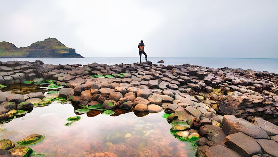 Person standing on Giant's Causeway basalt columns, Northern Ireland coast in the background.