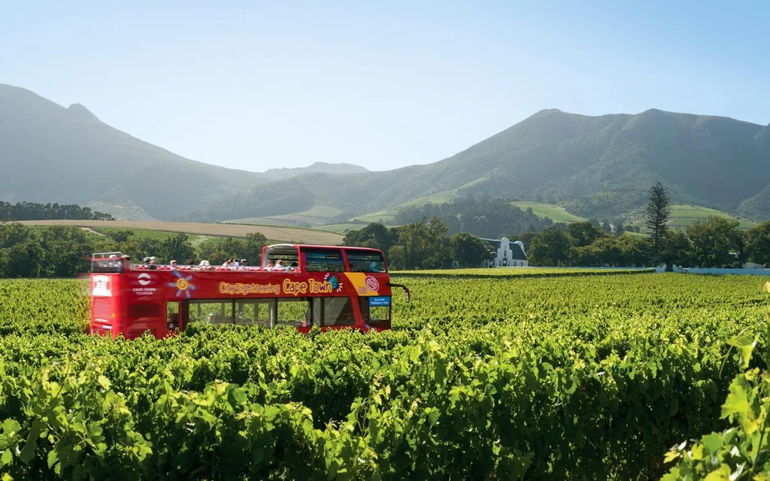 City Sightseeing: Cape Town Hop-on Hop-off Bus Tour Image 6