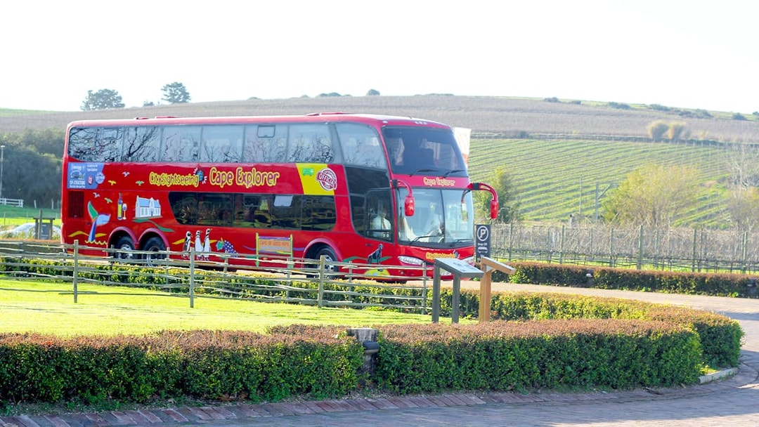 Red double-decker sightseeing bus in Cape Town vineyard setting.