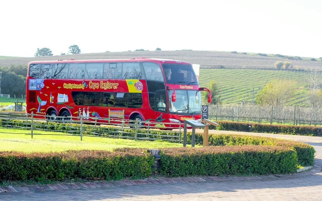 City Sightseeing: Cape Town Hop-on Hop-off Bus Tour Image 8