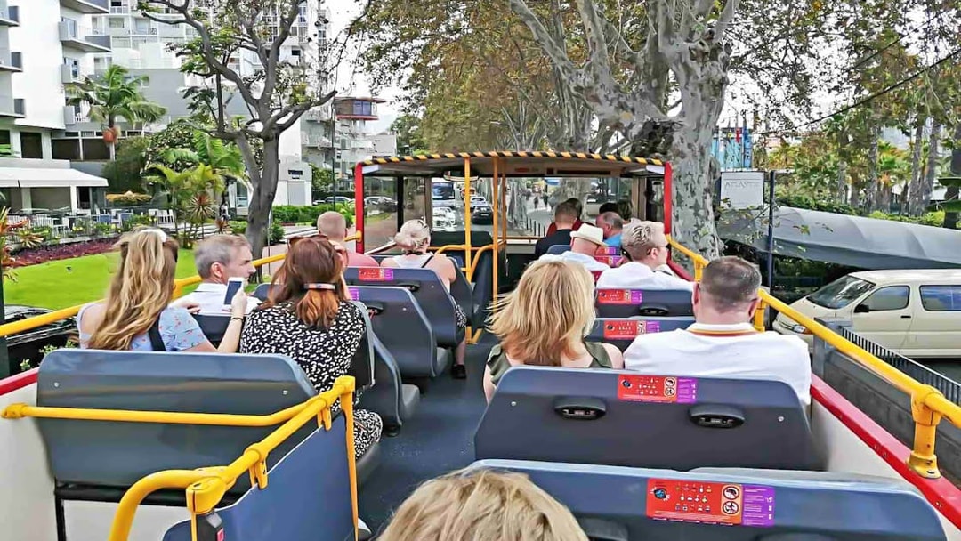People seated on upper deck of City Sightseeing bus in Funchal, passing by trees and buildings.