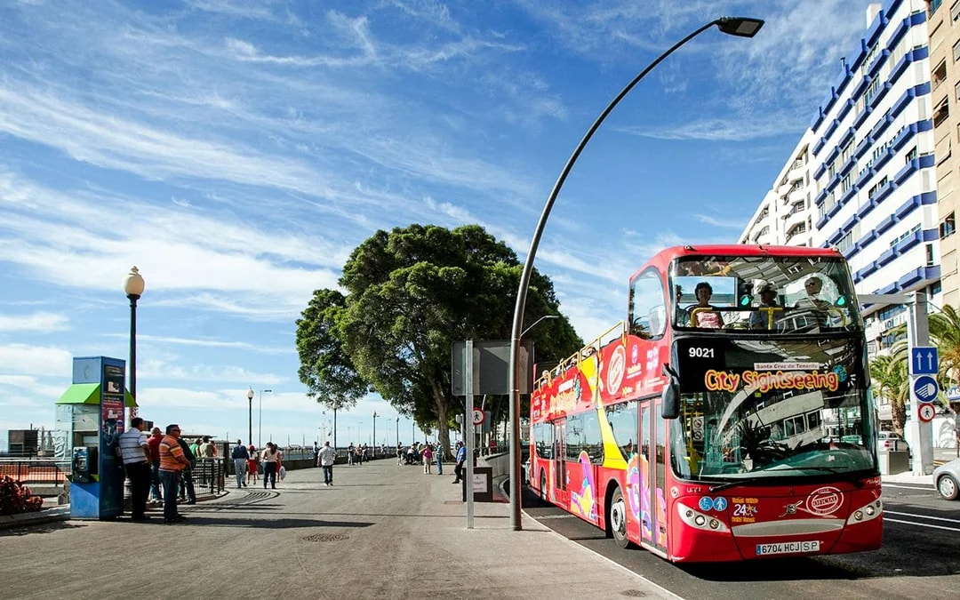 City Sightseeing: Santa Cruz de Tenerife Hop-on Hop-off Bus Tour Image 6