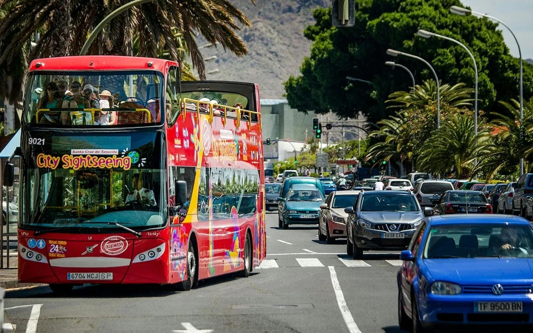 City Sightseeing: Santa Cruz de Tenerife Hop-on Hop-off Bus Tour Image 9
