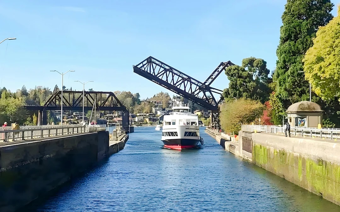 City Sightseeing: Seattle Hop-on Hop-off Bus Tour with One-way Ballard Locks Cruise Image 9