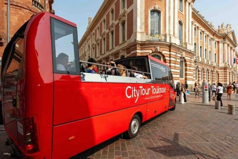 Citytour of Toulouse in panoramic minibus