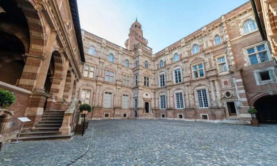 Citytour of Toulouse in panoramic minibus