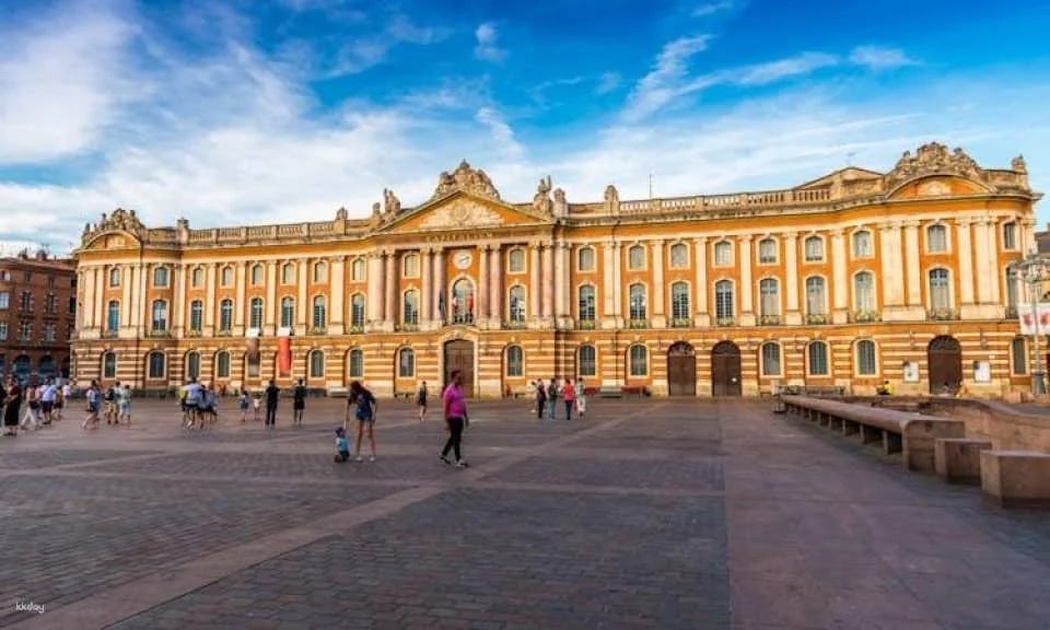 Citytour of Toulouse in panoramic minibus