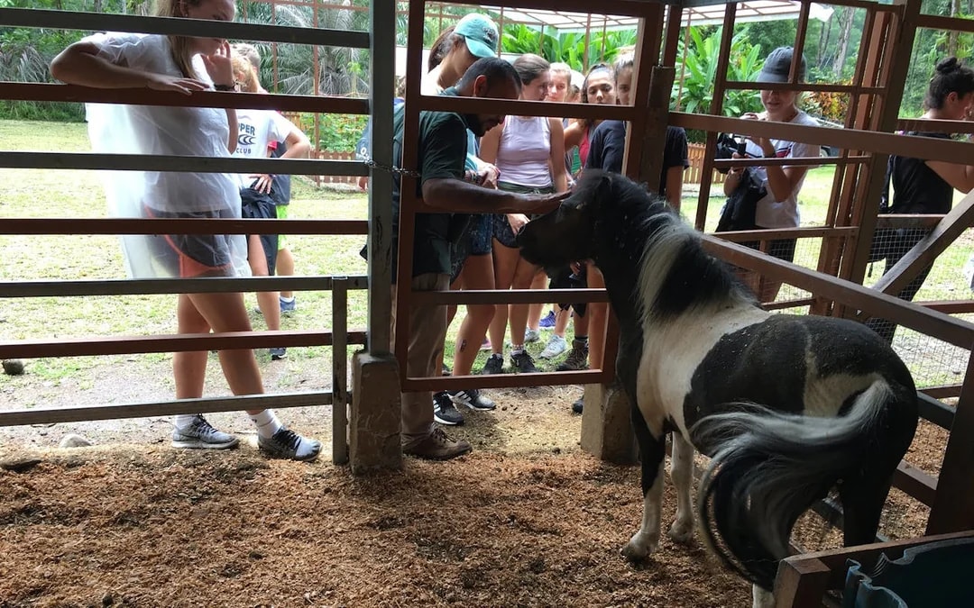 Coffee, Cacao, and Vanilla Organic Farm Tour with Animal Encounters and Farm-to-Table Lunch Image 6