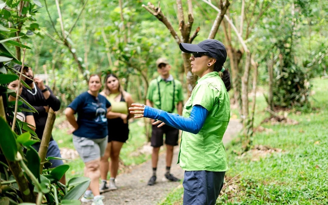 Coffee, Cacao, and Vanilla Organic Farm Tour with Animal Encounters and Farm-to-Table Lunch Image 7
