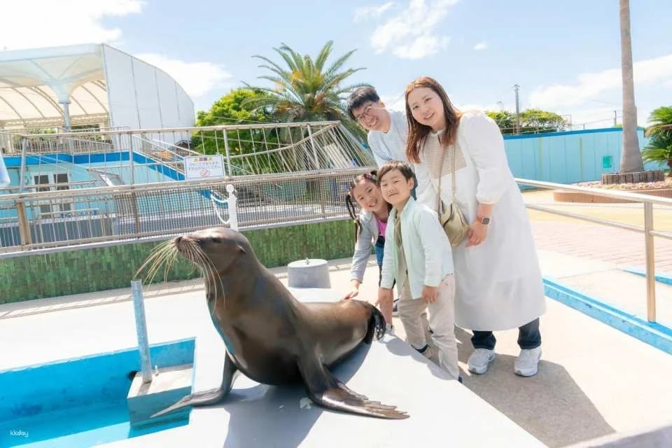 Combined admission ticket for Minachita Seaside Park & ​​Minachita Toy Kingdom in Aichi Prefecture, Japan