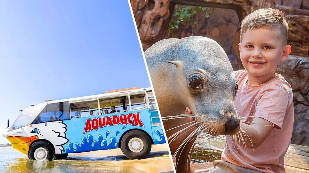 Combo: Aquaduck Sunshine Coast City Tour & River Cruise + SEA LIFE Tickets