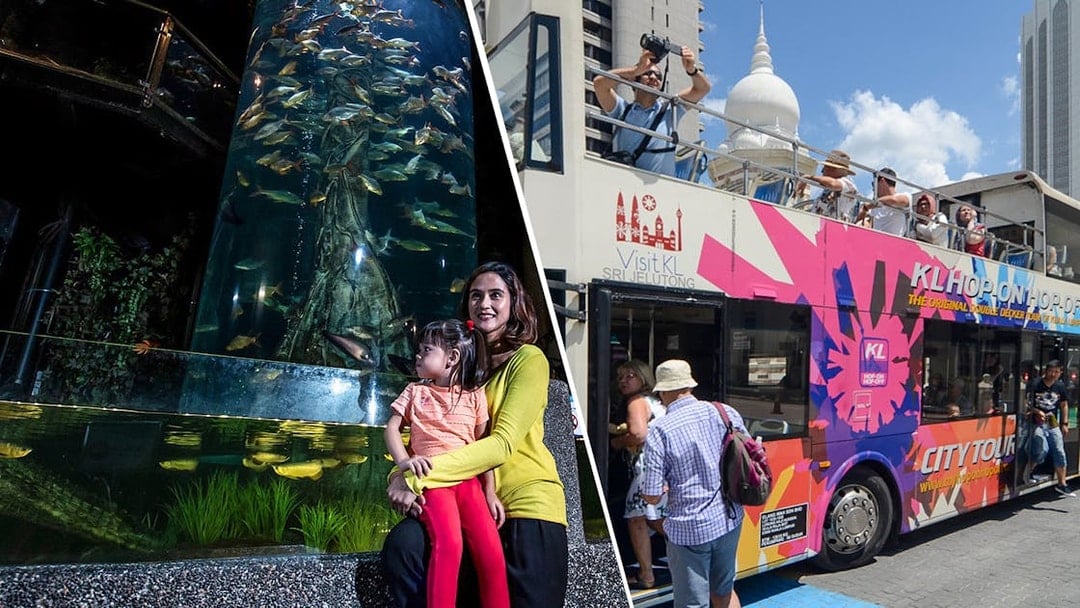 Combo: Aquaria KLCC Tickets + Kuala Lumpur Hop-On Hop-Off Bus Tour