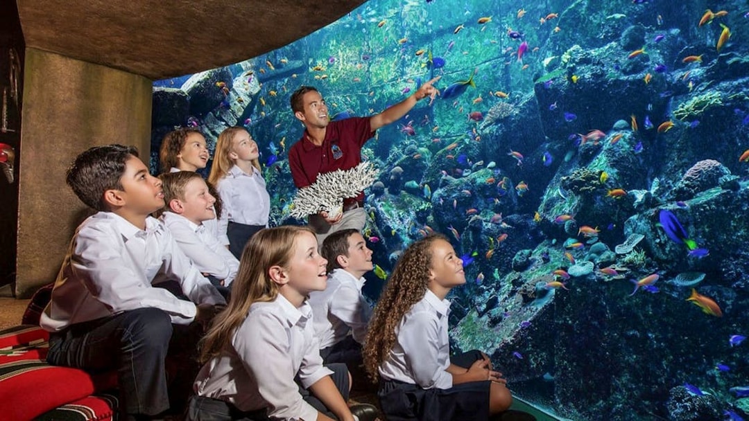 Children observing colorful fish at The Lost Chambers Aquarium, Dubai, during Atlantis Fish Tales Tour.