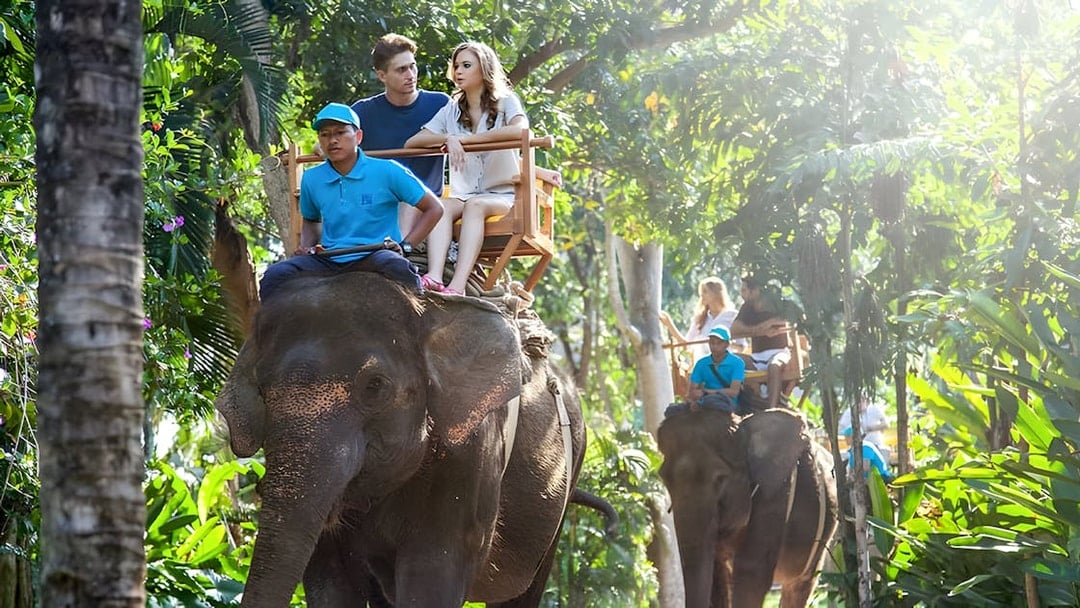 Combo: Bali Zoo Tickets + Breakfast with Orangutans & Elephant Expedition