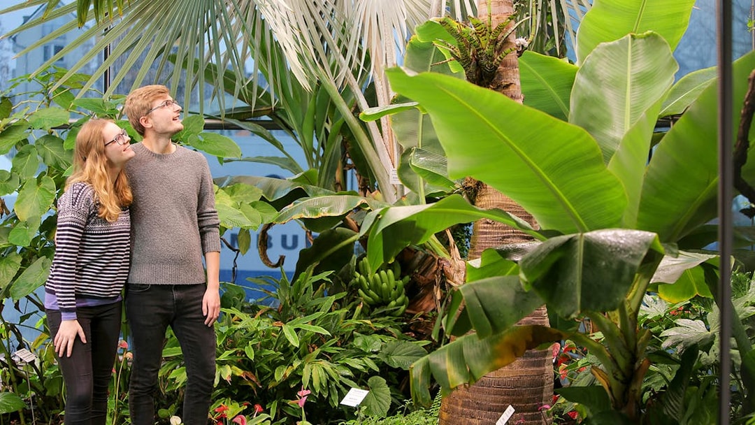 Visitors exploring tropical plants at the Chocolate Museum Cologne.