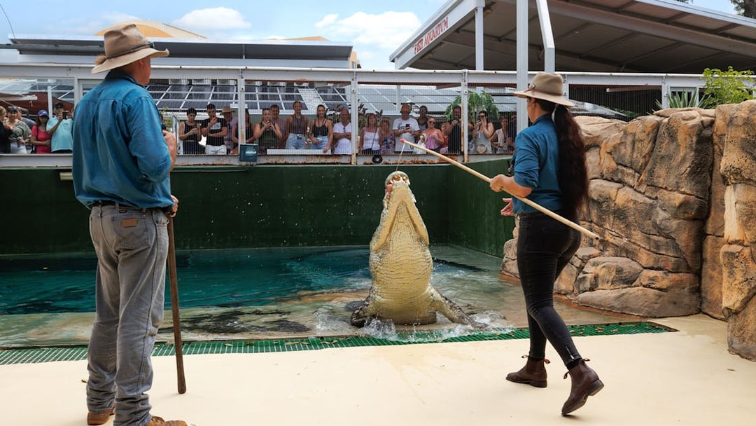 Handlers feeding a jumping crocodile at Crocosaurus Cove, Darwin, with spectators watching.