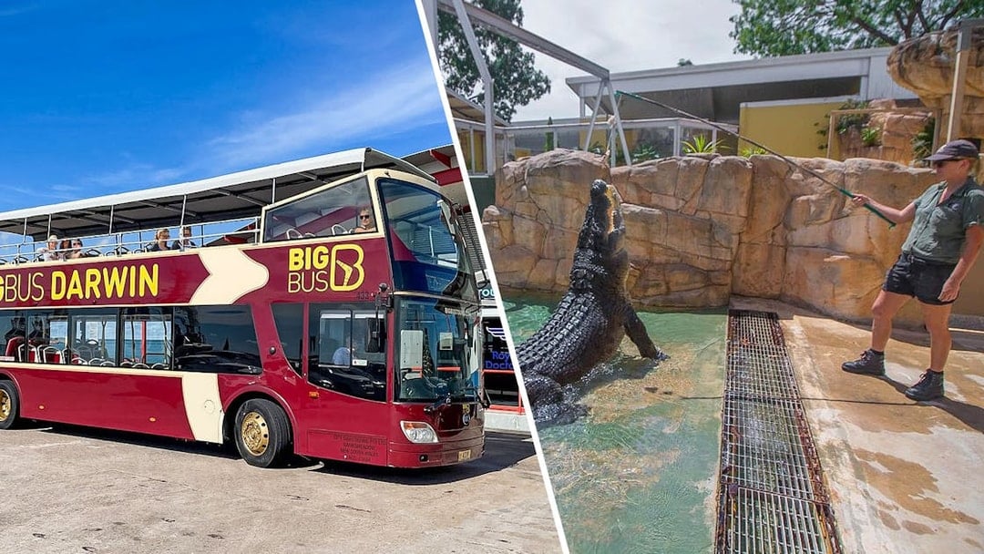 Big Bus Darwin tour and Crocosaurus Cove crocodile feeding experience.