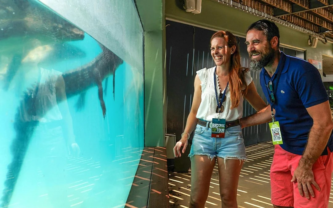 Combo: Darwin Hop-on Hop-off Bus Tour + Crocosaurus Cove Tickets + RFDS Facility Tickets Image 11