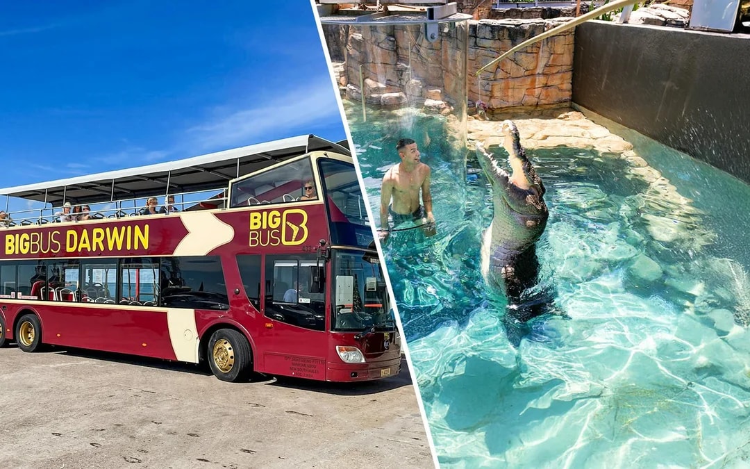 Combo: Darwin Hop-on Hop-off Bus Tour + Crocosaurus Cove Tickets + RFDS Facility Tickets Image 1