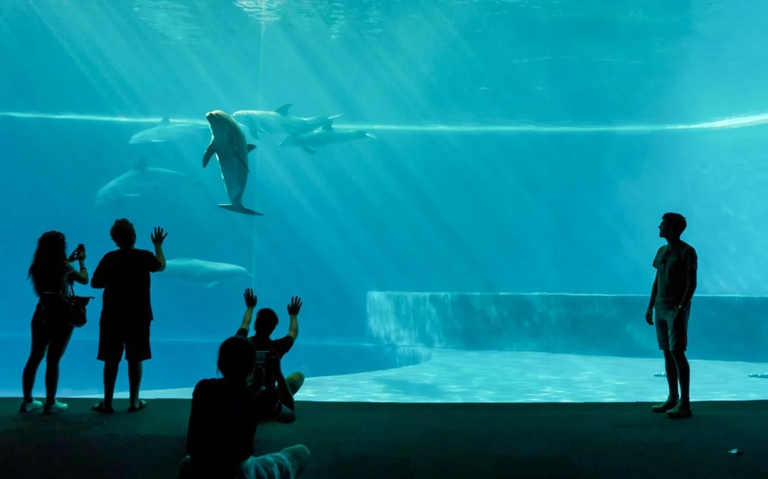 Combo: Genoa Aquarium + FantaCinema Museum Tickets Image 2