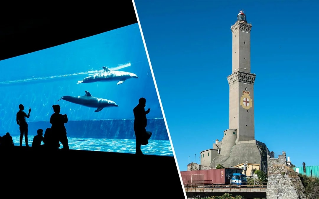 Combo: Genoa Aquarium + Lighthouse of Genoa Tickets Image 1