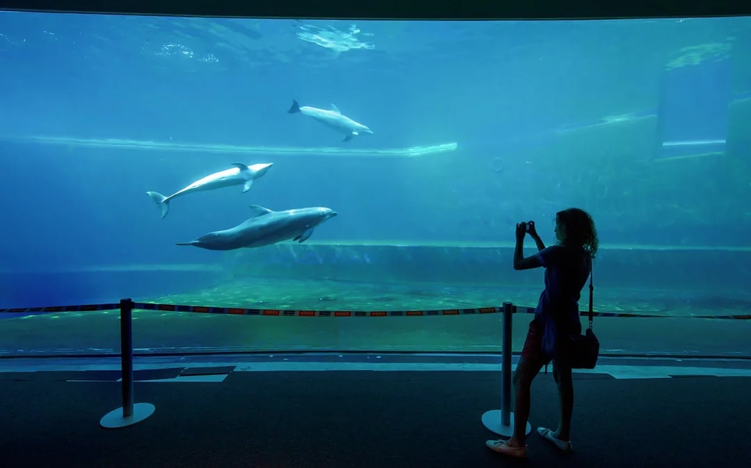 Combo: Genoa Aquarium + Lighthouse of Genoa Tickets Image 2